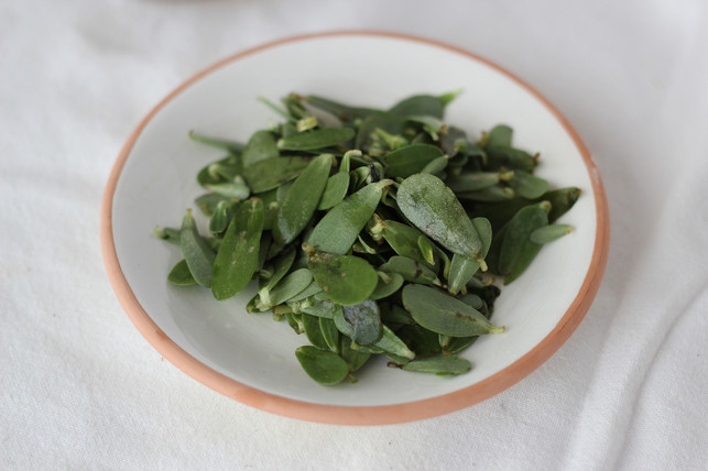 portulak-ist-ein-fast-vergessene-vitaminquelle-cc0pixabayveganamente-190523_download Portulak ist ein fast vergessenes entzündungshemmendes Lebensmittel.