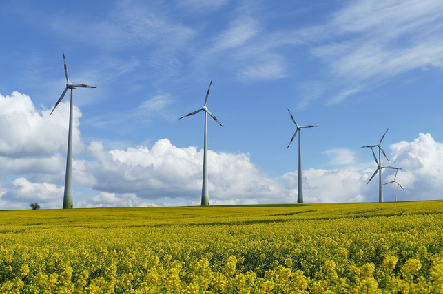 die-stromkennzeichnung-liefert-informationen-ueber-cc0-pixabay-boke9a-230528_download Die Stromkennzeichnung liefert Informationen über den Strommix.