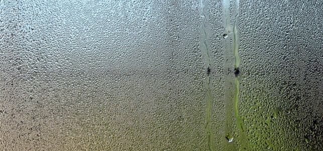 Luftentfeuchter Test Beschlagene Scheiben? Dann ist es zu feucht …