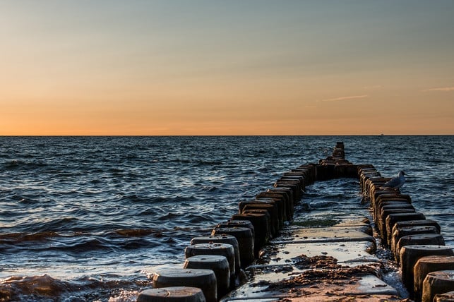 Special in-the-ostsee-koenne-Vibrion-Pix0-Pixabay-Diekiecki-10409_Download Vibrions can occur in particular in the Baltic Sea.