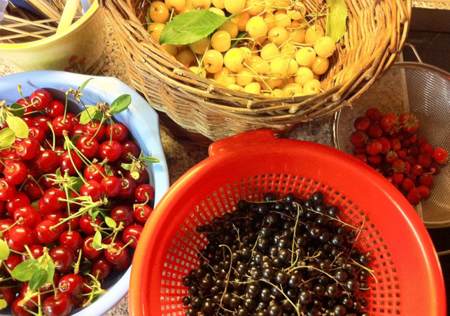 beeren-p-silke-neumann-170516-1280x900 Beeren Vielfalt im Sommer