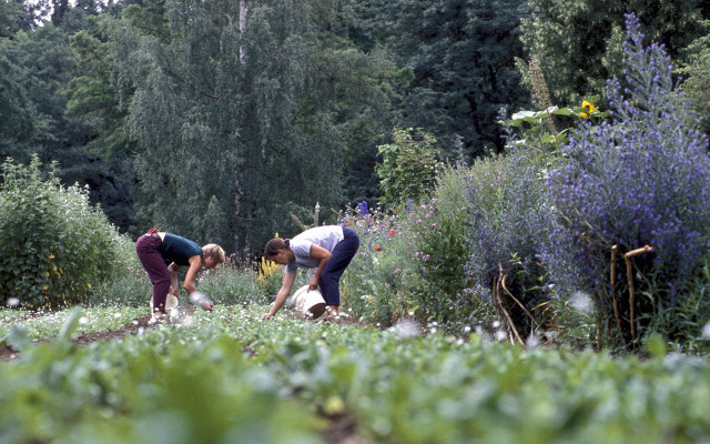 DRH_Niagara_Utopia_Slide9_Gartenernte_1280x800px zertifizierte Naturkosmetik