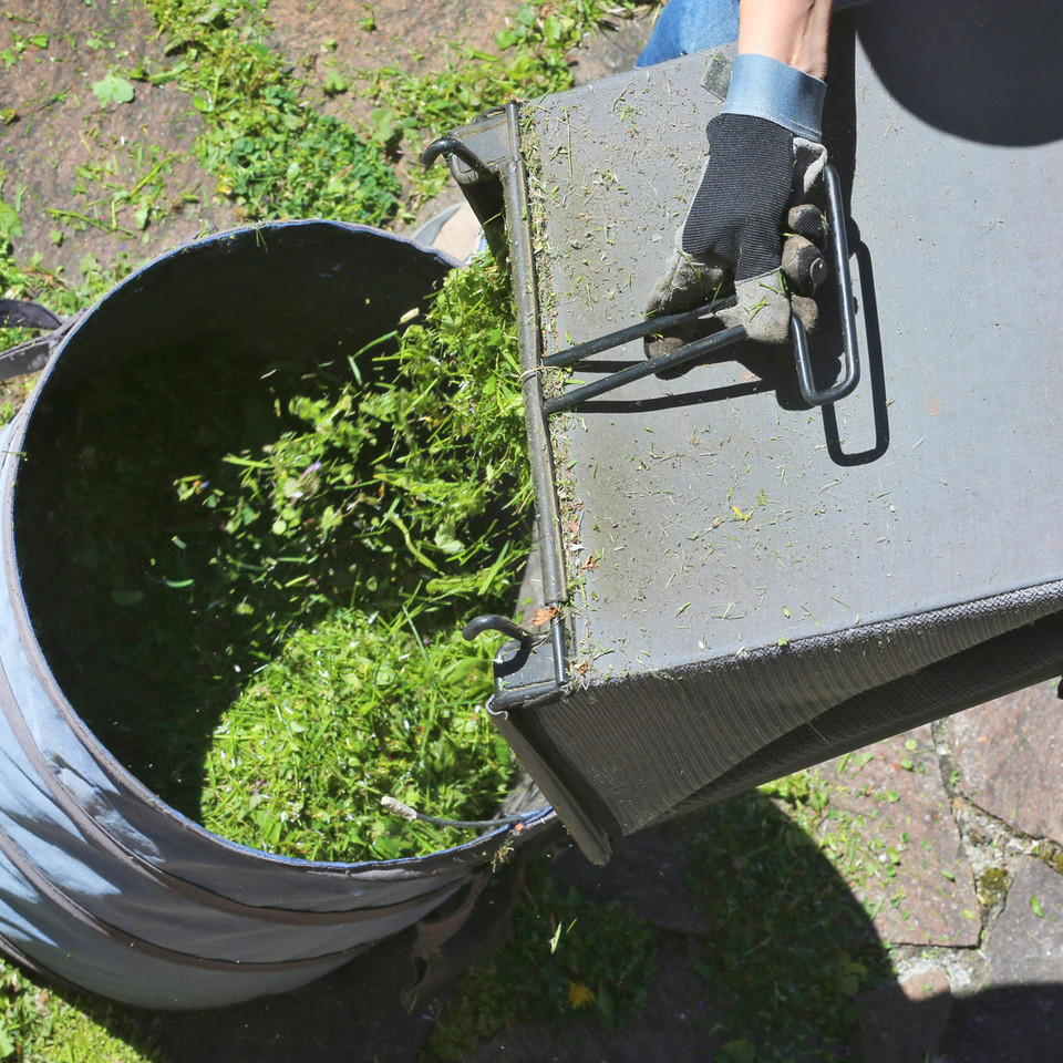 Mulchen wirkt Wunder: Mit diesen 6 Pflanzen bleibt dein Garten frei von  Unkraut - Utopia.de