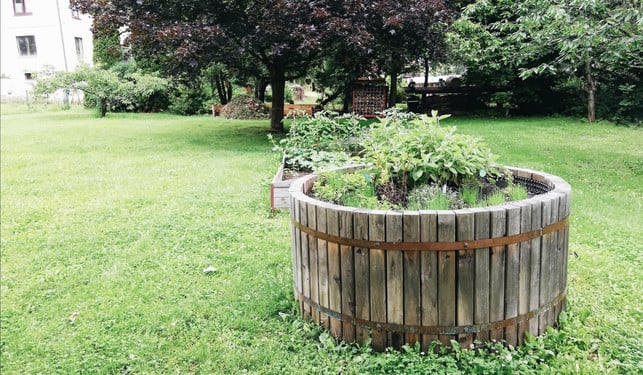 fuer-wenig-geld-selber-bauen-utopia-julia-kloss-200716_download Beete kannst du für wenig Geld selber bauen.