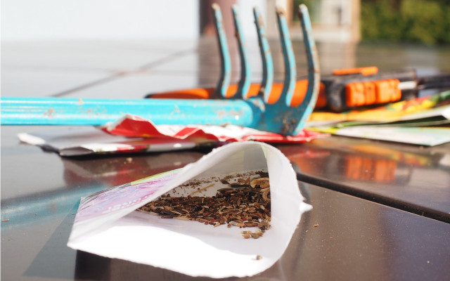 samen-saatgut-bienenweide-pb-hand-210701-1280x800 Samen für die Bienenweide lieber in Bio-Qualität