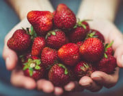 Erdbeeren haltbar machen
