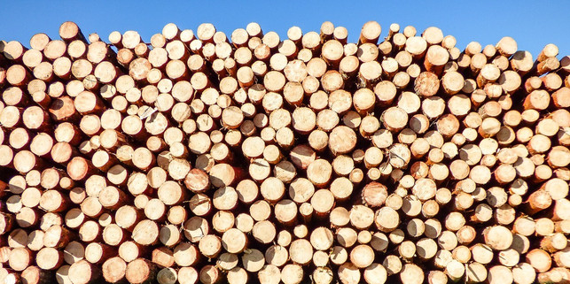 lagere-holz-am-besten-im-freien-cc0-pixabay-matuska-210326_download Lagere Holz am besten im Freien.