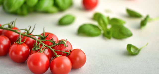 Tomaten und Basilikum zusammen pflanzen