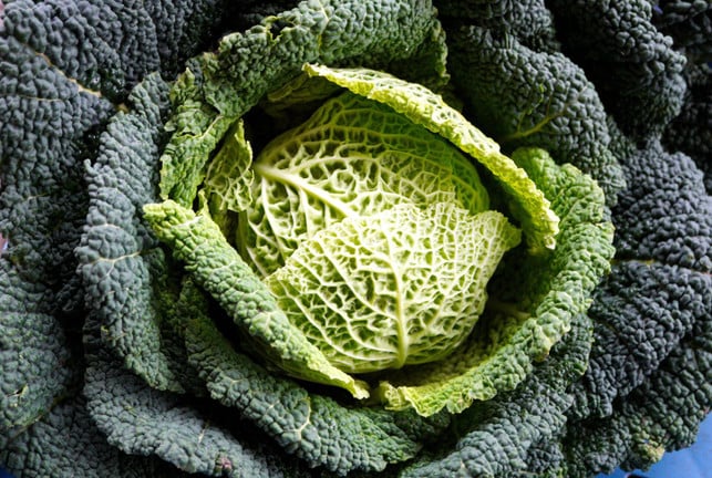 kohlgeruch-ist-geringer-wenn-du-eine-garmethoden-cc0-pixabay-matthiasboeckel-250228_download Kohlgeruch ist geringer, wenn du eine Garmethoden auf Wasserbasis wählst.