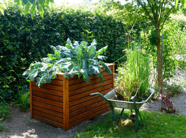 Use plant tables or raised beds to improve your posture when gardening.