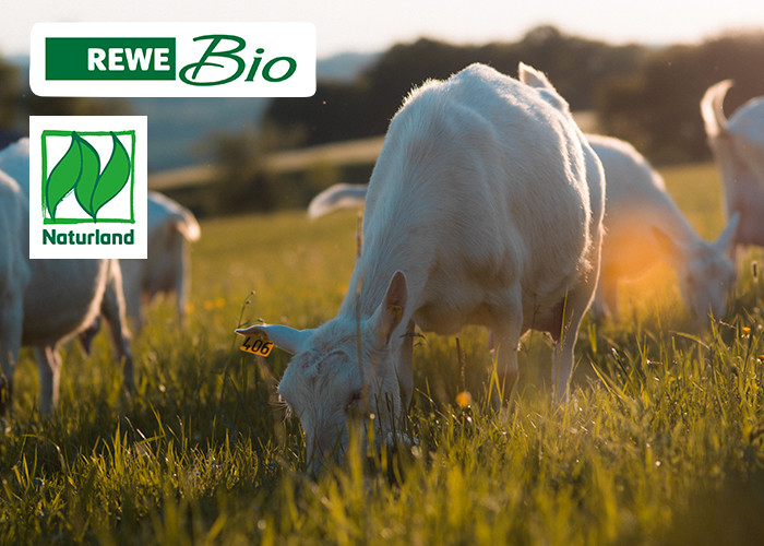 Ziegenfrischkäse: Naturland Ziegen