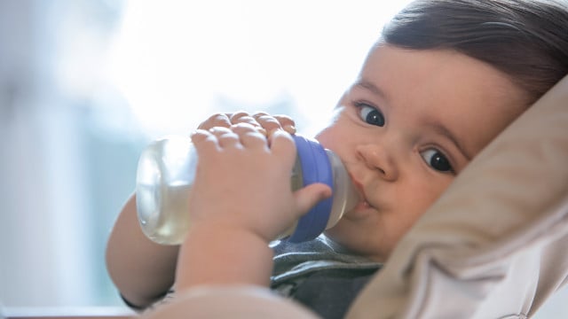 fencheltee-babys-gefaehrlich-dpa-231115-1280x720 Kein Fencheltee für Babys? Kinderarzt nennt Alternativen