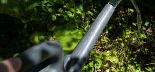 Schonend gießen mit der Gießkanne - ohne Brauseaufsatz