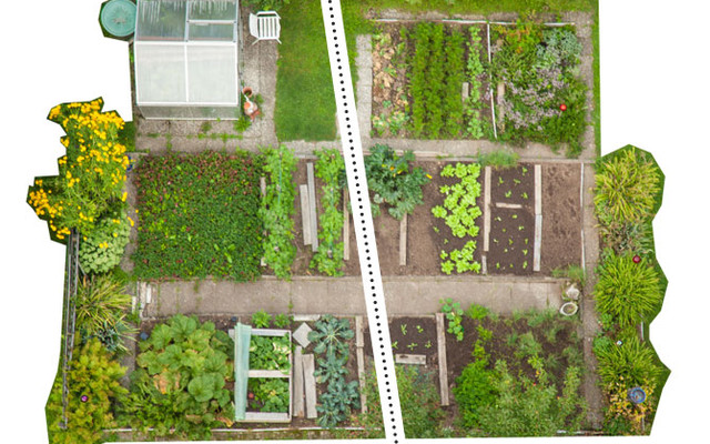 Garten_2