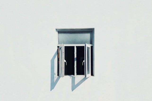 ein-einziges-offenes-fenster-reicht-fuer-einen-besu-cc0-unsplash-jason-yuen-231027_download-1 Ein einziges offenes Fenster reicht für einen Besuch der Stinkwanze aus.