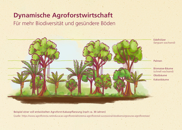 bio schokolade, Bio-Schokolade gewinnen, Alnatura Paket