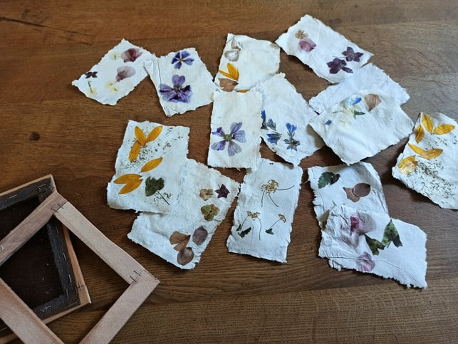 mit-gepressten-blueten-und-blaettern-werden-die-kart-sarah-gairing-utopia-210912_download Mit gepressten Blüten und Blättern werden die Karten besonders hübsch.