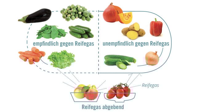 Ethylen-ut-20191126-1280x720 Ethylen zusammen lagern