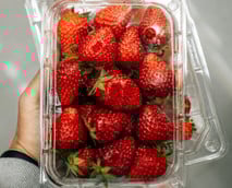 Erdbeeren aus Spanien? Warum du jetzt bei Erdbeeren genau hinsehen solltest