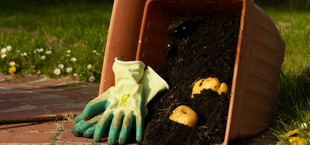 10 Dinge, die du aus deinem Garten werfen solltest – und bessere Alternativen