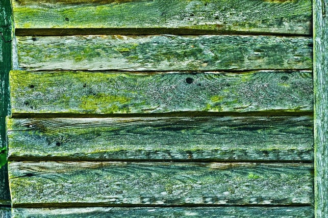 gruenspan-bildet-sich-oft-auf-holz-cc0-pixabay-anaterate-180624_download Grünspan bildet sich oft auf Holz.
