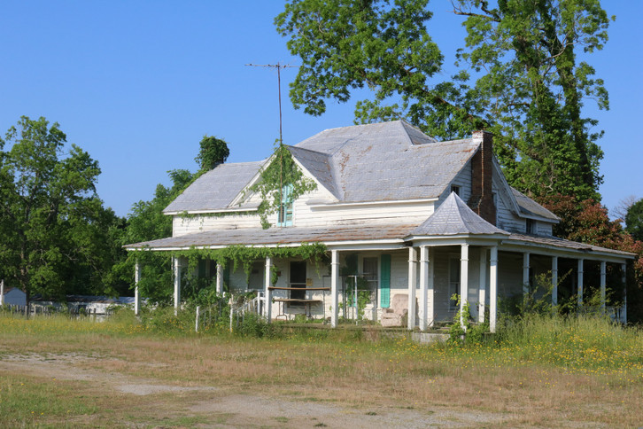 kudzu-lianas-can-also-grow-over-houses-cc0--pixabay--calvinburgamy-260717_download Kudzu lianas can also grow over houses.