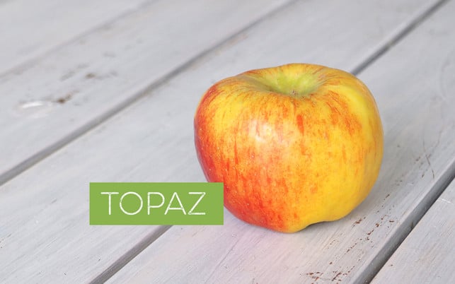 Apfelsorten bestimmen – Topaz Apfelsorten bestimmen – Topaz