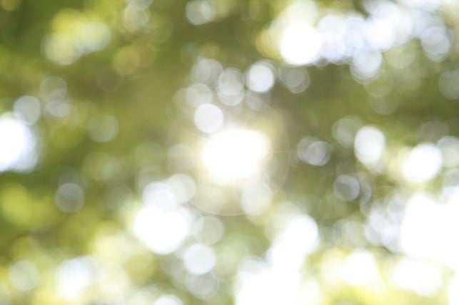 mit-sonnenlicht-kannst-du-kurkuma-flecken-entferne-cc0-pixabay-mentor_henry-210329_download Mit Sonnenlicht kannst du Kurkuma-Flecken entfernen.