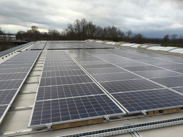 lebensbaum-photovoltaik-oekostrom-s-lebensbaum Beitrag zum Klimaschutz: Mit dieser Geothermie-Anlage / Photovoltaik-Anlage deckt LEBENSBAUM einen Anteil seines Energie-/Strombedarfs.