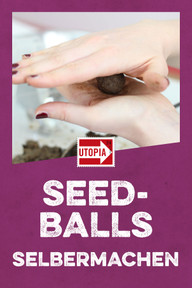 seedballs-selbermachen Seed Bombs eigenhändig basteln – Anleitung