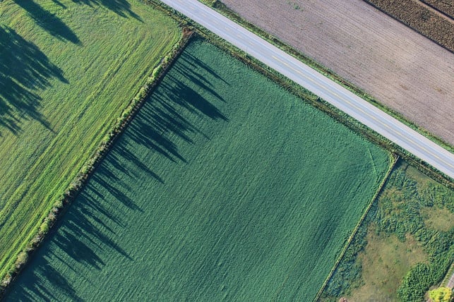 fuer-jeden-hektar-landwirtschaftliche-flaeche-zahlt-cc0-pixabay-pexels-191025_download Für jeden Hektar landwirtschaftliche Fläche zahlt die EU Subventionen.