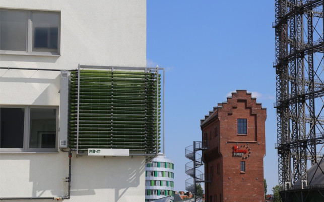 energiegewinnung-algen-algenfassade-euref-mint-jana-siemer-201209-1280x800-1 Photobioreaktor aus Algen an Häuserfassade