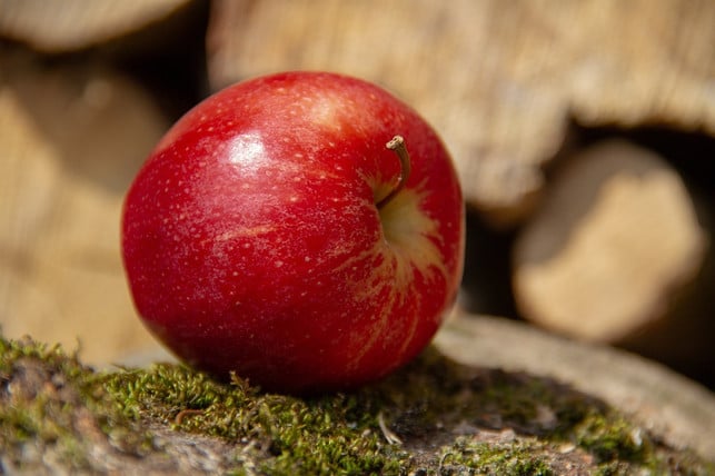 das-fasten-beendest-du-mit-einem-apfel-zum-fruehstue-cc0-pixabay-5598375-250211_download Das Fasten beendest du mit einem Apfel zum Frühstück.