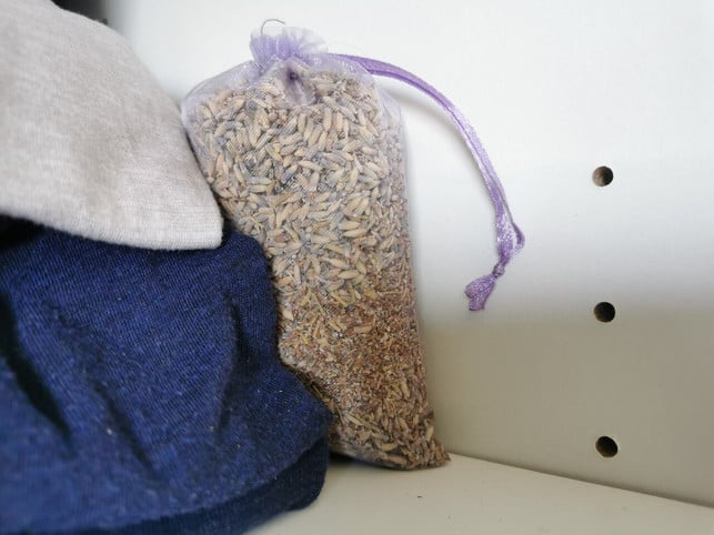 lavendel-hilft-gegen-kleidermotten-im-schrank-sven-christian-schulz-utopia-210516_download Lavendel hilft gegen Kleidermotten im Schrank.