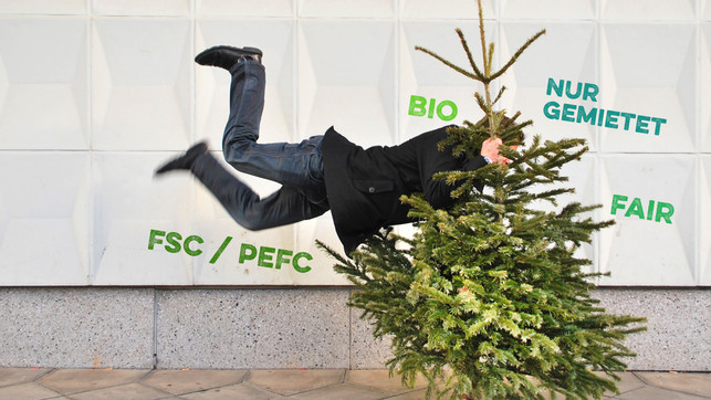 Alternativen zum Weihnachtsbaum: Bio, öko, gemietet & aus der Region Alternativen zum Weihnachtsbaum: Bio, öko, gemietet & aus der Region
