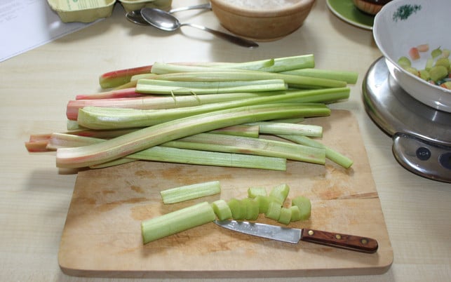 fuer-den-rhabarber-kaesekuchen-schneide-die-rhabarbe-maria-hohenthalutopia-200531_download Schneide für den Rhabarber-Käsekuchen die Rhabarber-Stangen in kleine Stücke.