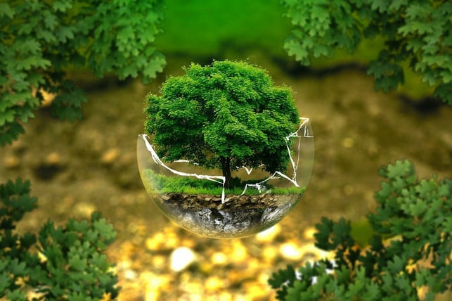 naturschutz-ist-schutz-ganzer-oekosysteme-cc0-pixabay-ejaugsburg-210624_download Naturschutz ist Schutz ganzer Ökosysteme.