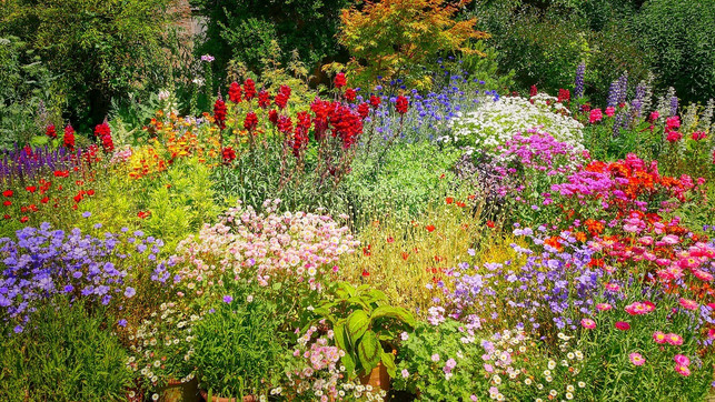 du-kannst-blumen-aus-dem-eigenen-garten-verwenden-cc0-pixabay-fietzfotos-230405_download Du kannst Blumen aus dem eigenen Garten verwenden, um einen Blumenstrauß zu binden.