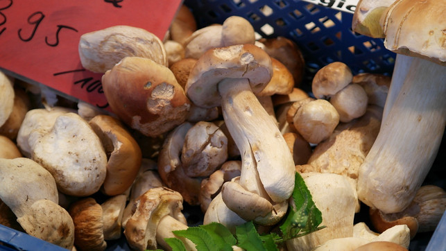 fuer-das-umami-in-der-sosse-sind-die-pilze-verantwor-cc0-pixabay-ritae-211223_download Für das Umami in der Soße sind die Pilze verantwortlich.