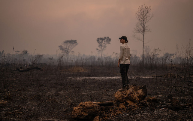 Der Amazonas-Regenwald in Brasilien ist von Austrocknung und Abholzung bedroht Der Amazonas-Regenwald in Brasilien ist von Austrocknung und Abholzung bedroht.