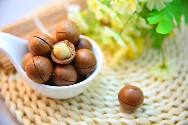 aufgrund-ihres-exquisiten-geschmacks-zaehlt-die-mac-cc0-pixabay-sunnysun0804-190503_download Aufgrund ihres exquisiten Geschmacks zählt die Macadamia-Nuss zu den teuersten Nusssorten weltweit.