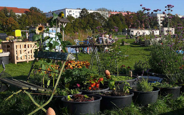Urbane Gemeinschaftsgärten pflegen Urbane Gemeinschaftsgärten