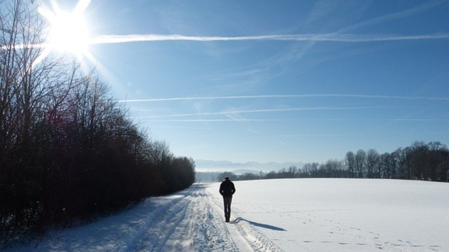 vitamin-d-mangel-cc0-pixabay-silviarita-210210-1 Vitamin-D-Mangel