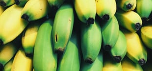 grüne banane