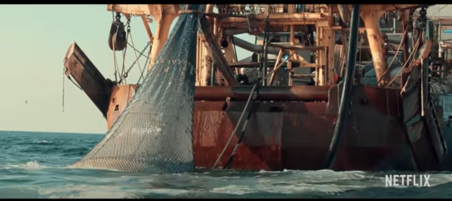 delfine-landen-oft-als-beifang-in-fischernetzen-screenshot-youtubenetflix-210401_download Delfine landen oft als Beifang in Fischernetzen.