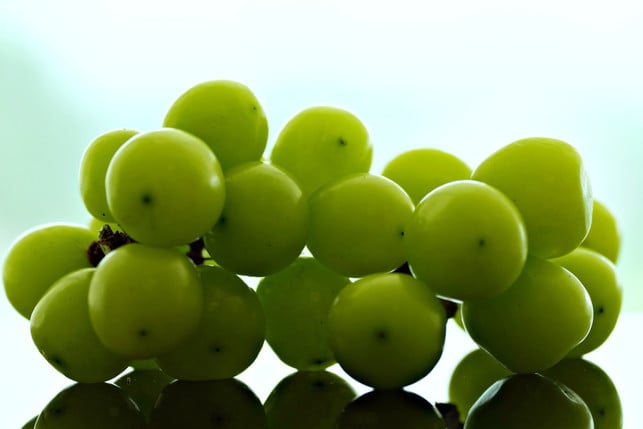 vor-dem-einfrieren-solltest-du-die-weintrauben-was-cc0--pixabay--ignartonosbg-250629_download Vor dem Einfrieren solltest du die Weintrauben waschen und gut abtrocknen.