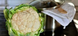 blumenkohl kochzeit