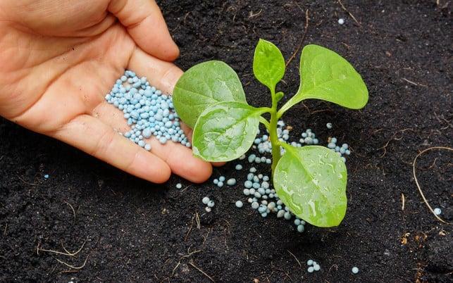 garten-kunstduenger-w-weerapat1003-170405-1280x800 Garten-Fehler: Kunstdünger = Stickstoffdünger, Mineraldünger