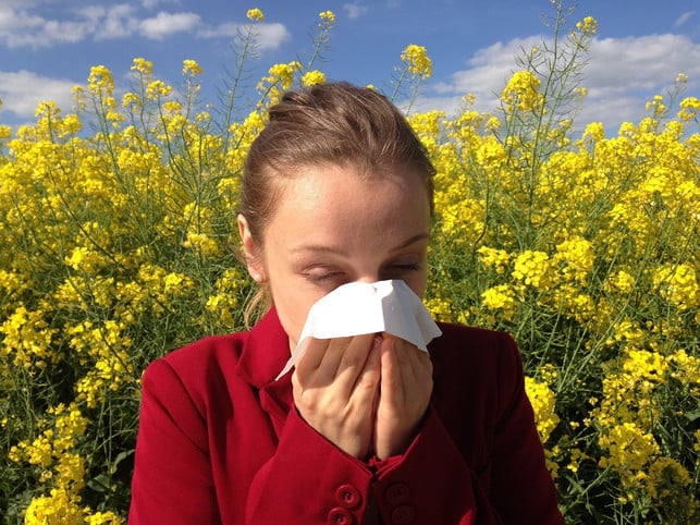 loest-eine-allergie-geschwollene-augen-aus-solltes-cc0-pixabay-cenczi-240204_download Löst eine Allergie geschwollene Augen aus, solltest du die Allergie-Auslöser meiden.