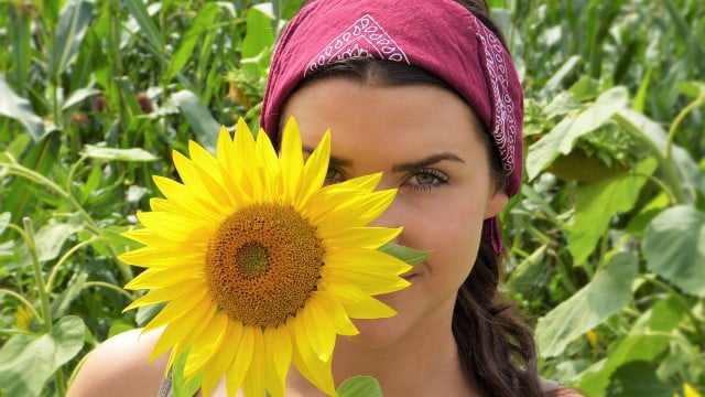 komedogen-cc0pixabaysilviarita-190621 Komedogen